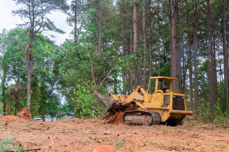 Building Site Clearing in Marietta, GA