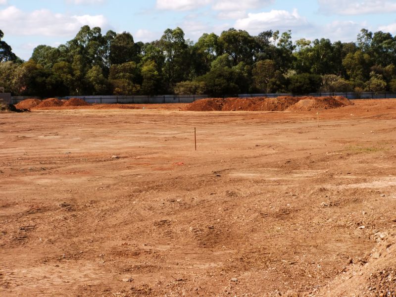 Easement Land Clearing in Katy, TX